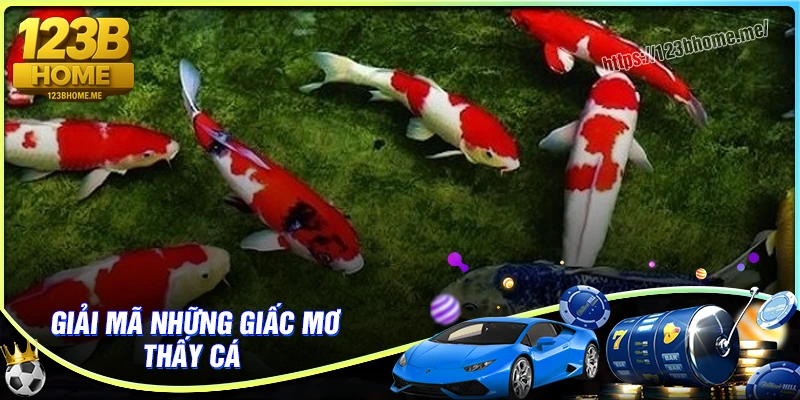 Luận giải chi tiết nằm mơ thấy cá là điềm báo tốt hay xấu?