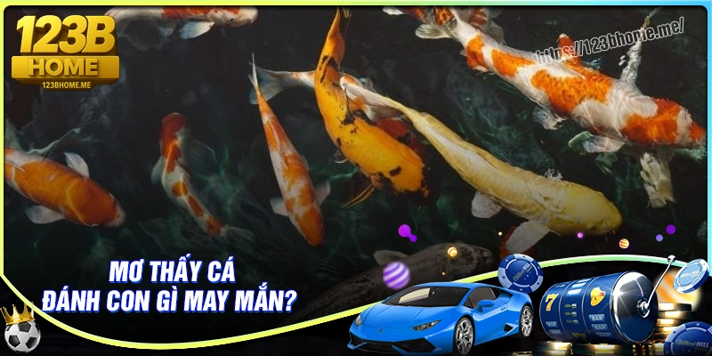 Mơ thấy cá nên đánh con gì cho may mắn?